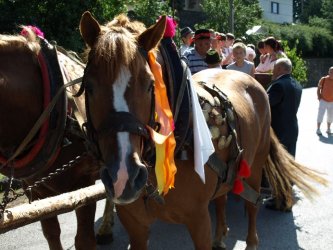 875. výročie obce Litava