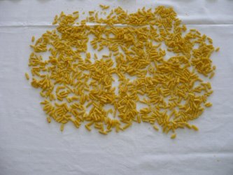 Varenie so Slovákmi z Békešskej Čaby